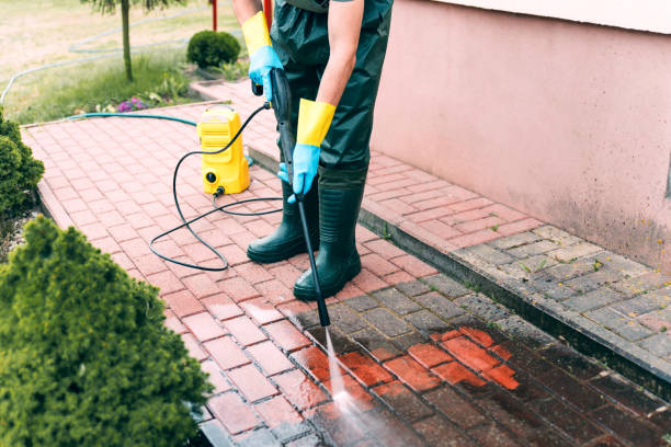 Best Fence Cleaning and Maintenance in Mount Vernon, GA